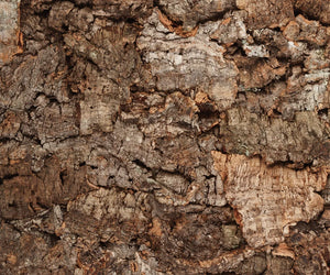 Naturewalls: Korkwände und Rindenwände aus echter Korkeiche.
