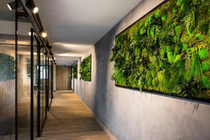 Pflanzenbilder im Dschungel-Design B011 mit Rahmen im Büro von Naturewalls