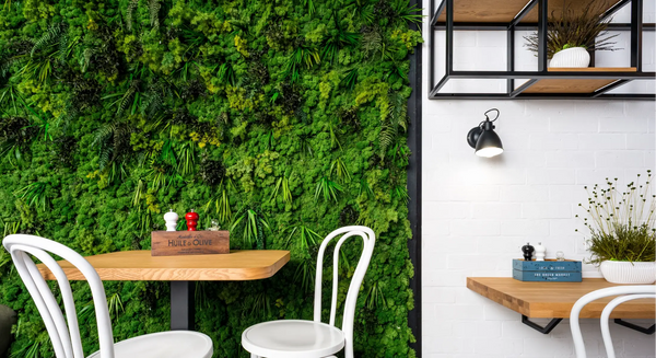 Naturewalls: Wandbegrünug mit Mosowänden, Pflanzenwänden und Moosbildern.