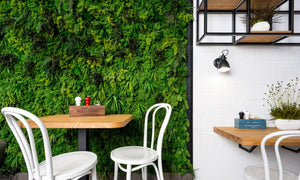 Über uns - Vertikale Innenraumbegrünung von Naturewalls.