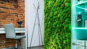 Innenraumbegrünung mit einer Mooswand aus Ballenmoos von Naturewalls.