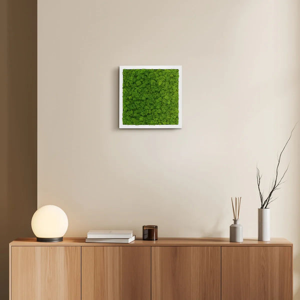 Moosbild Island Moos 25 x 25 cm im weißen Rahmen von Naturewalls®.
