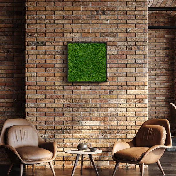 Moosbild Rentiermoos in der Größe 55 x 55 mit einem schwarzen Rahmen von Naturewalls.