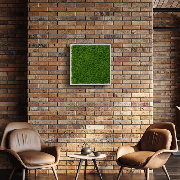 Moosbild Rentiermoos in der Größe 55 x 55 mit einem weißen Holz Rahmen von Naturewalls.