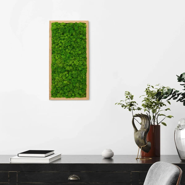 Naturewalls Moosbild Islandmoos 60 x 30 mit einem Holz Rahmen.