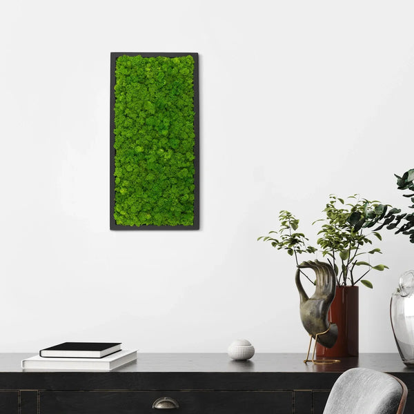 Naturewalls Moosbild Islandmoos 60 x 30 mit einem schwarzen Holz Rahmen.