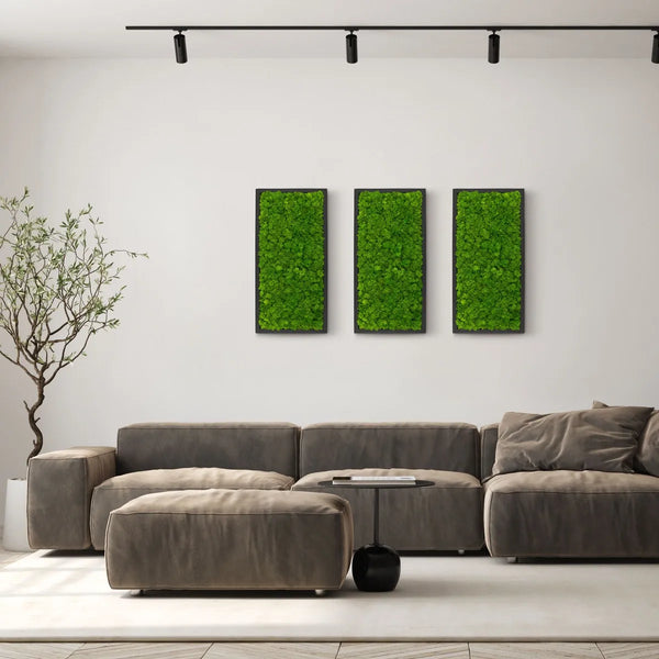 Naturewalls Moosbild Islandmoos 60 x 30 mit einem schwarzen Rahmen.