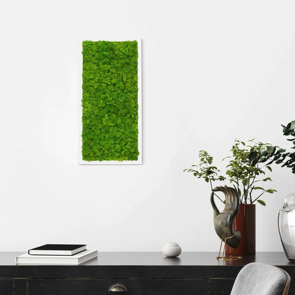 Naturewalls Moosbild Islandmoos 60 x 30 mit einem weißen Holz Rahmen.