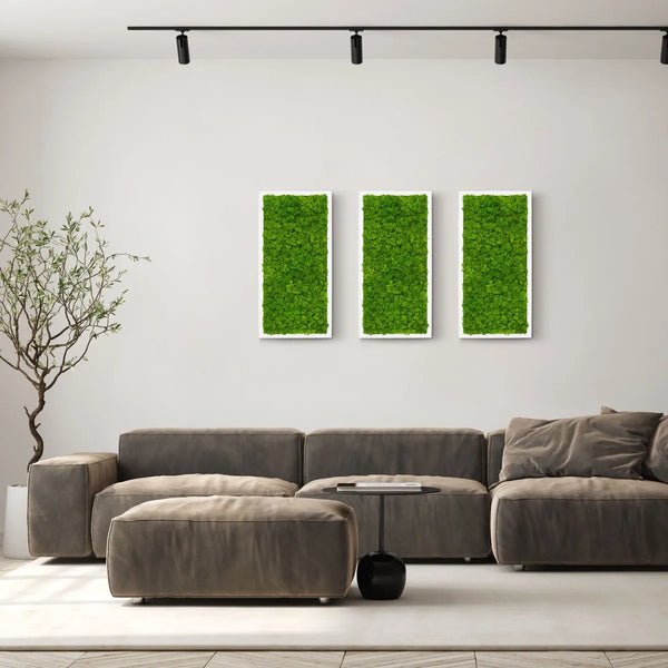 Naturewalls Moosbild Islandmoos 60 x 30 mit einem weißen Rahmen.