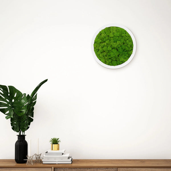 Rundes Moosbild 30 cm von Naturewalls® mit Isländisch Moos in der Farbe Apfelgrün und einem weißen Rahmen.