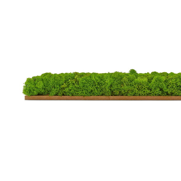 Mooswand selber machen: Moospaneele der Basic-Serie von Naturewalls.