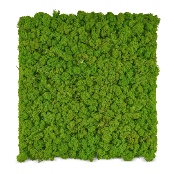 Mooswand Flex, einfache Flexible Wandgestaltung mit Platten von Mooswänden und Moosbildern mit Rundungen durch eine biegsame und selbstklebende Rückseite.