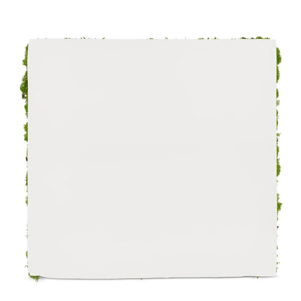 Paneele für die Wand aus Moos der Flex-Serie von Naturewalls.
