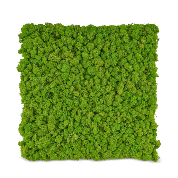 Moos-Platte aus Rentiermoos der Premium-Serie von Naturewalls.