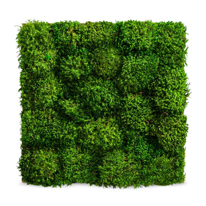 Moospaneel aus provenzialischem Kugelmoos für die Wandbegrünung von Naturewalls.