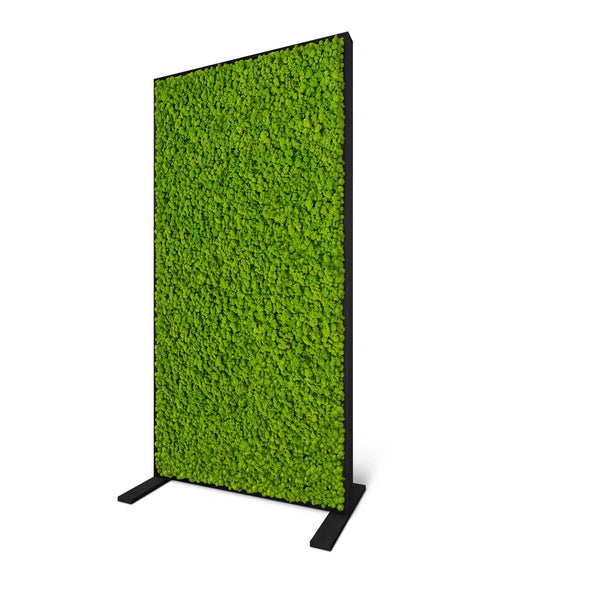 Raumteiler aus Moos im pulverbeschichteten Stahl-Rahmen in der Farbe Schwarz von Naturewalls.