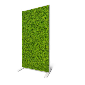 Raumteiler aus Moos im pulverbeschichteten Stahl-Rahmen in der Farbe Weiß von Naturewalls.