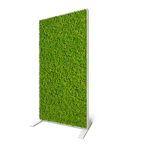 Raumteiler aus Moos im pulverbeschichteten Stahl-Rahmen in der Farbe Weiß von Naturewalls.