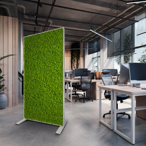 Naturewalls Ratgeber: Raumteiler Moos, nachhaltiger Schallsschutz für das Büro mit Trennwänden aus echtem Moos.