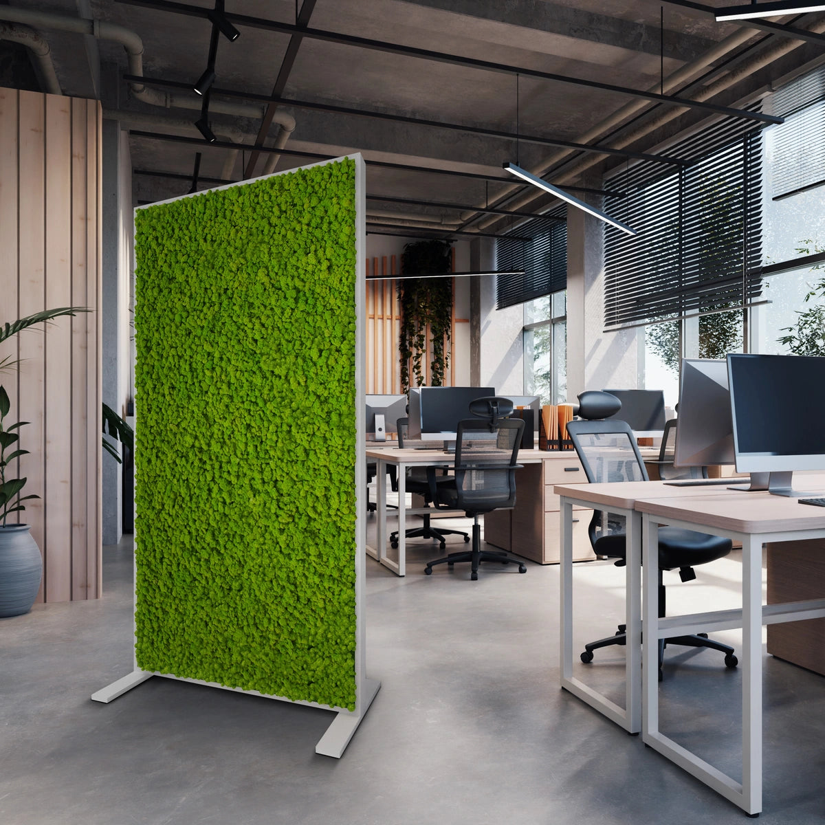 Raumteiler Moos: Schallschutz für das Büro – Naturewalls®