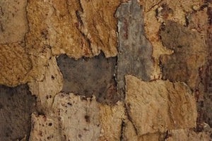 Korkwandfliesen Sandstone in der Optik von Sandstein von Naturewalls.