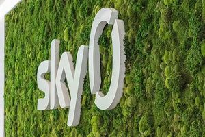 Mooswand mit Logo für Sky Q von Naturewalls.