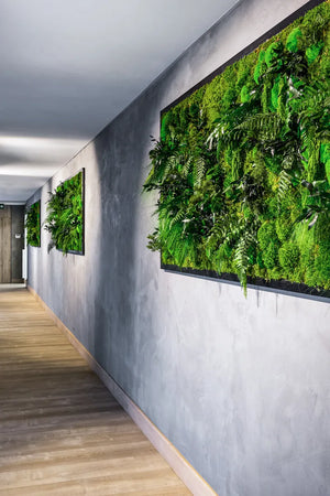 Pflanzenbilder im Dschungel-Design B011 mit Rahmen im Büro aus der GREEN! Kollektion von Naturewalls.