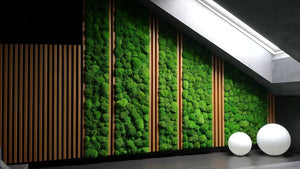 Vertikale Wandbegrünug mit Kugelmoos von Naturewalls.