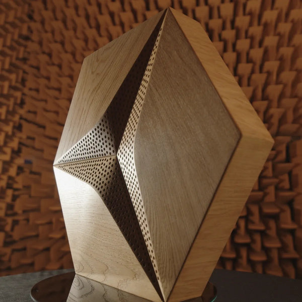Paneel Akustik Holz - CM-D der Hexago-Serie aus Eiche von Naturewalls.