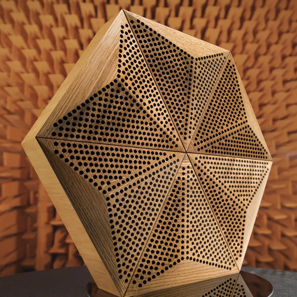 Paneel Akustik Holz - P-A der Hexago-Serie aus Eiche von Naturewalls.