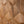 Holz Wandpaneel Caro Minus der Smooth-Serie in Eiche von Naturewalls x Form At Wood.