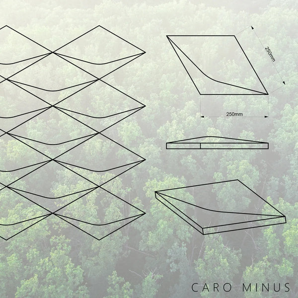 Holzwand Caro Minus der Smooth-Serie in Eiche mit Abmessungen von Naturewalls x Form At Wood.