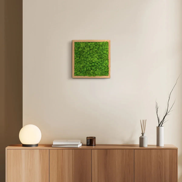 Moosbild Islandmoos 35 x 35 cm im Holz-Rahmen von Naturewalls®.