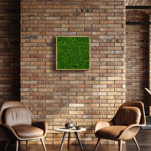 Moosbild Rentiermoos in der Größe 55 x 55 mit einem Eichen-Rahmen von Naturewalls.