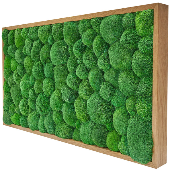 Moss image pôle mousse 55 x 55 - chêne