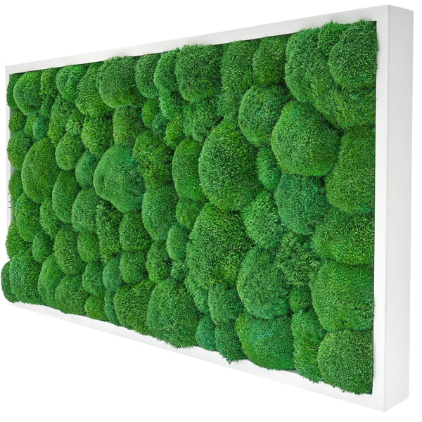 Moss image pôle mousse 55 x 55 - chêne