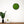 Rundes Moosbild von Naturewalls® mit Isländisch Moos in der Farbe Apfelgrün und einem schwarzen Rahmen.