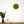 Rundes Moosbild 30 cm von Naturewalls® mit Isländisch Moos in der Farbe Apfelgrün und einem weißen Rahmen.