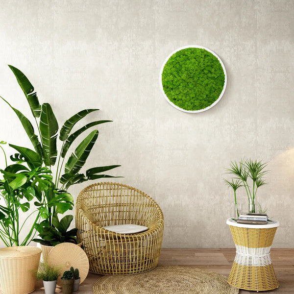 Moosbild Rund von Naturewalls® mit Rentiermoos in der Farbe Apfelgrün und einem weißen Rahmen.