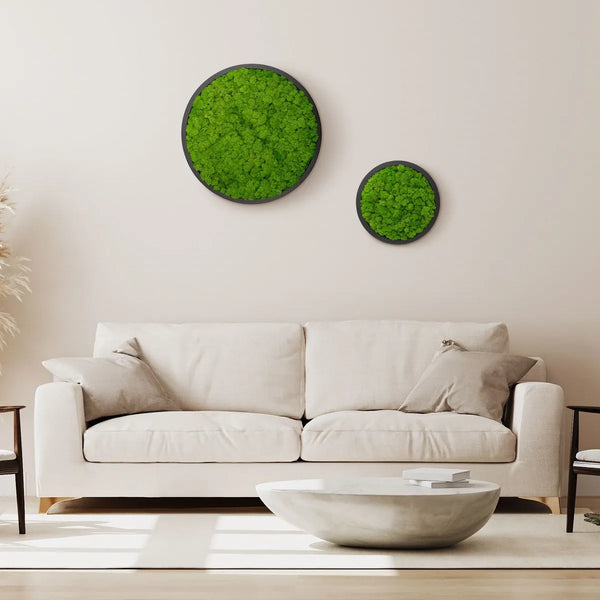 Moosbild Rund von Naturewalls® mit Islandmoos in der Farbe Apfelgrün.