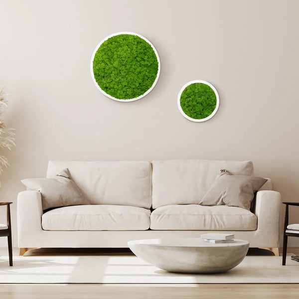 Moosbild Rund von Naturewalls® mit Isländisch Moos in der Farbe Apfelgrün und einem weißen Rahmen.