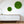 Moosbild Rund mit 30 cm von Naturewalls® mit Isländisch Moos in der Farbe Apfelgrün und einem weißen Rahmen.